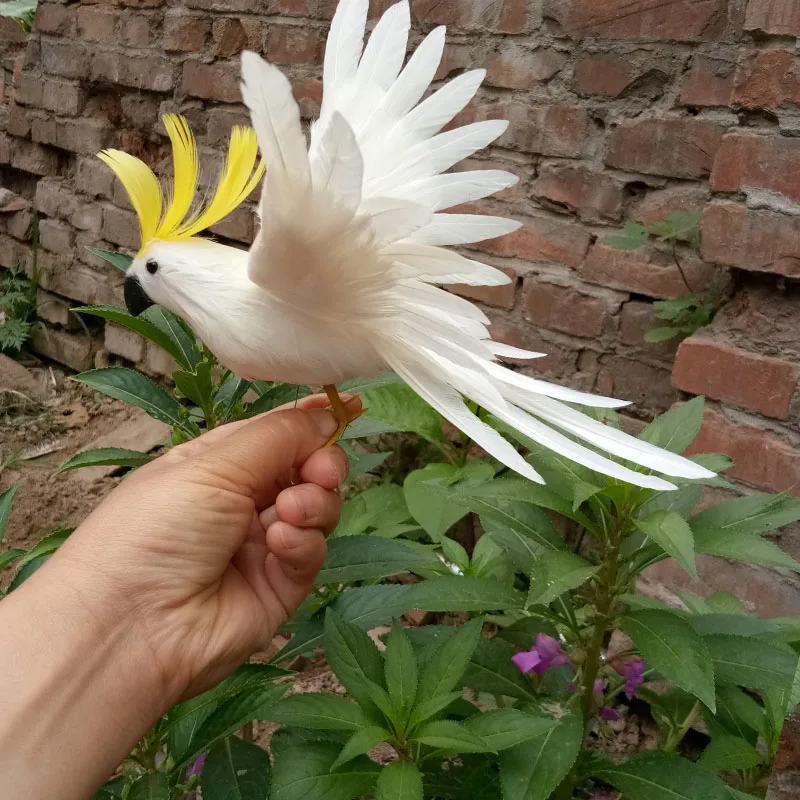 Realiame gyvenime Paukščių baltos plunksnos parrot modelį, apie 20x25cm skleisti sparnus Kakadu sodo puošmena prop žaislą dovanų h1479