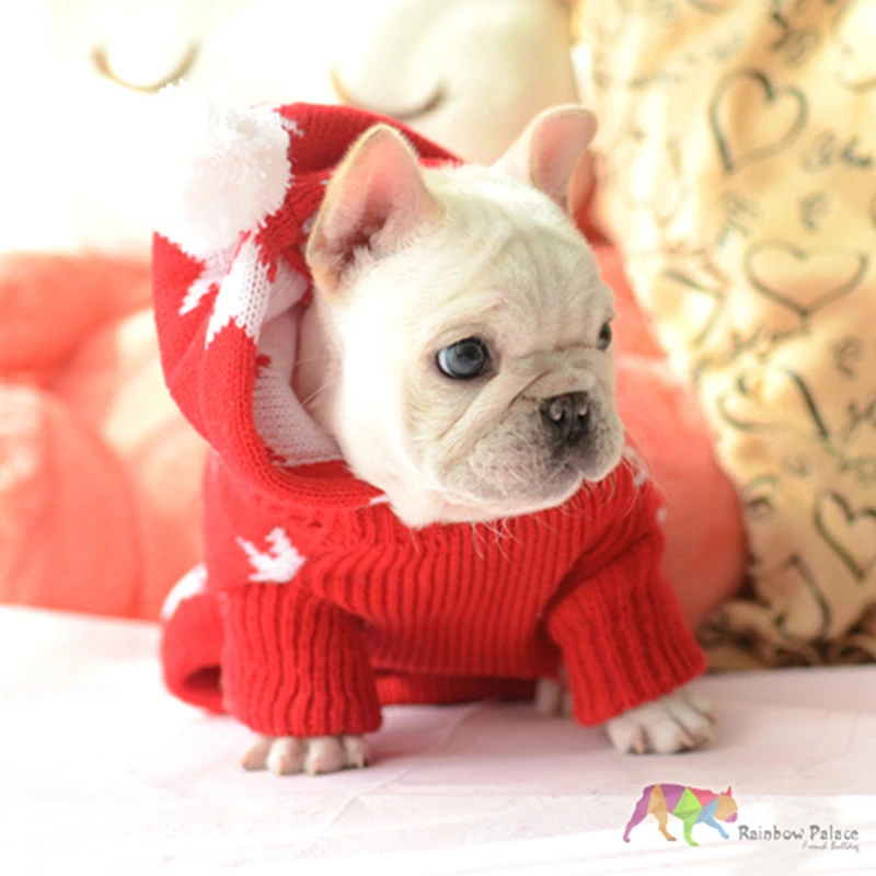 [MPK Šuo Megztiniai] šunelis Žiemos Drabužiai, prancūzų Buldogas Klevas Spausdinimo Megztinis