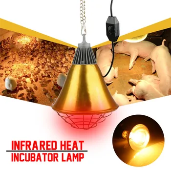 Reguliuojamas Jungiklio 250W Paukščių Šilumos Inkubatorius Lempa & Višta, Pet Infraraudonųjų spindulių Lemputės Šviesos Auginimo viščiukų Gyvulių Piggy Ančiukas Šiltas