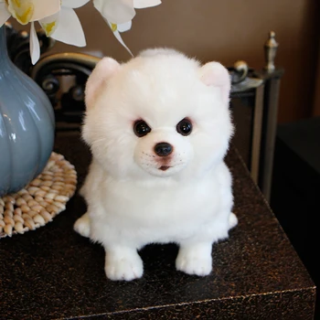 Fancytrader Puikus Baltas Šuo Pomeranijos Pliušinis Žaislas Įdaryti Kokybės Mielas Gyvūnų, Šunys Lėlės 25cmX10cmX20cm