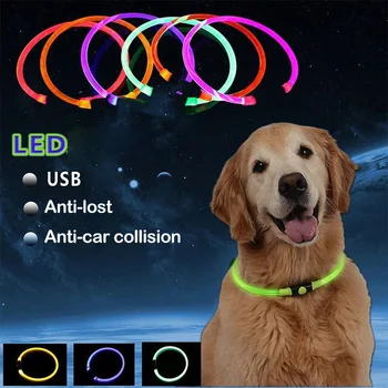 Thin USB Chargable Šunų Antkakliai Led Apšvietimas Pet Optinio Pluošto Perro Apykaklės Šviesos naminių Gyvūnėlių Apykaklės Luminoso Perro Karoliai