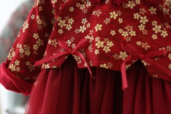 Baby Girl Dress Naujųjų Metų Drabužių Ilgomis Rankovėmis Tradicinę Suknelę, Cheongsam Vaikų Mergaičių Gėlių Drabužius Kinijos Aksomo Qipao