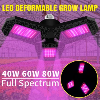E27 Augalų Lempos LED Full spectrum Gėlių Sėklų Auginimo Lemputė 40W 60W 80W Hydroponics Sistema Fito Lempa LED Daigų Fito Lampada