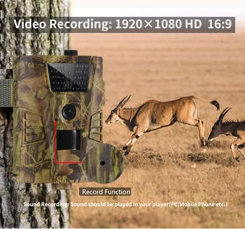 Laukinės gamtos Takas Kamera HT001B Infraraudonųjų spindulių Naktinio Matymo Medžioklės Kameros 12MP Lauko Laukinių Priežiūros Stebėjimą