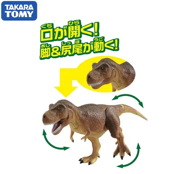 TAKARA TOMY Ania AL Serija Brachiosaurus Tyrannosaurus Triceratopsas Stegosaurus Velociraptor Modeliavimas Dinozaurų Gyvūnų Modelio Žaislas