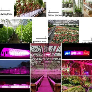 LED Dienos šviesos Augalų Augimo Lempos Ilgai Juostelės 4 Vamzdelis 4 Vadovai Įrašą Augalų Augimo Lempa Led Grow Light Kambarinių Augalų Žiedų 80W