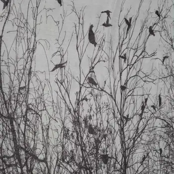 [Vaizdo Ašių] Minkštas Lengvas Viskozės Spausdinti Abstrakčiai Paukščiai Ant Medžių, Pailgos Šalikas Gyvūnų Šalikai Skara